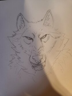 20220414_184034.jpg