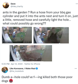 dogs.png
