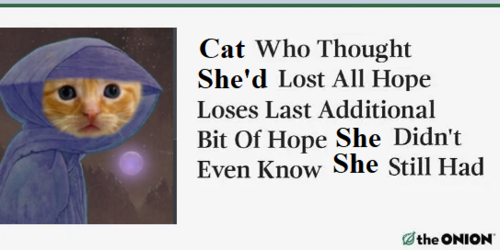 1650048103206.png