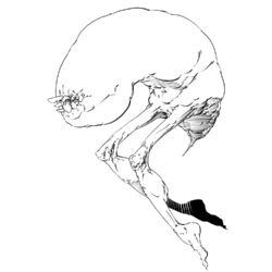 041522.png