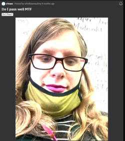1650094330452.png