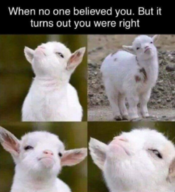 1648833337461.png