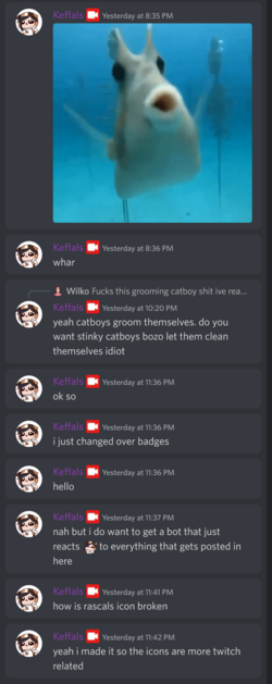 firefox_cdYHfULytW.png