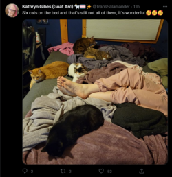 Screenshot 2022-04-17 at 18-31-57 Tweets with replies by Kathryn Gibes (Goat Arc) 🐐🏳️‍⚧️✨ (@Tr...png
