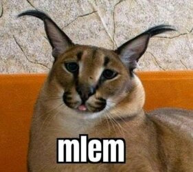 mlem.jpeg