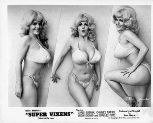 super-vixens.jpg