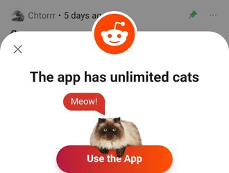 Screenshot_20220418-160534.jpg