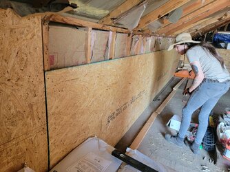 Insulation.jpg