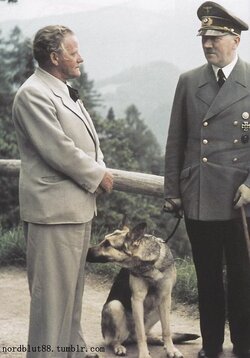 6e6dd433becd5623f89a4a85ef08da9e--modern-history-wwii.jpg
