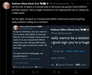 Screenshot 2022-04-19 at 19-55-43 Tweets with replies by Kathryn Gibes (Goat Arc) 🐐🏳️‍⚧️✨ (@Tr...png