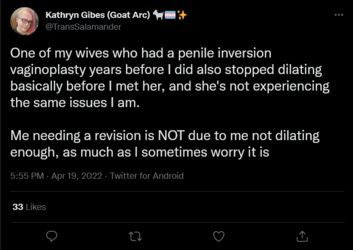 Screenshot 2022-04-19 at 19-56-58 Kathryn Gibes (Goat Arc) 🐐🏳️‍⚧️✨ on Twitter.png