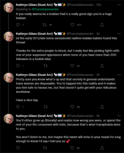 Screenshot 2022-04-19 at 19-59-38 Kathryn Gibes (Goat Arc) 🐐🏳️‍⚧️✨ on Twitter.png