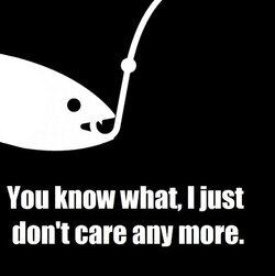 dontcare.jpeg