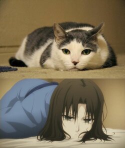 not amused1.jpg