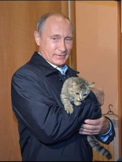1650474566226.png