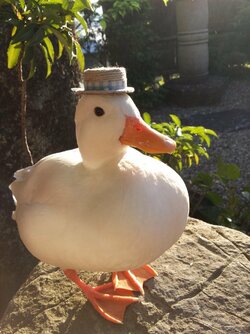 duck with hat.jpg