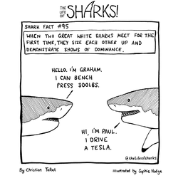 FQwMyyHaUAEMhIQ.png