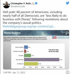 disneypolling.JPG