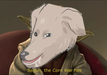 cornwar.jpg