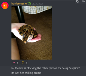 1650543992608.png