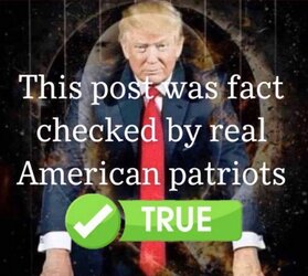 qfact.jpg