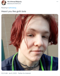 1650614276502.png