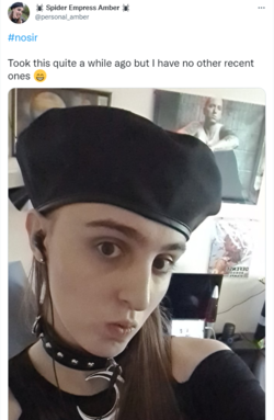 1650615383880.png