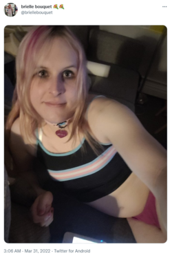 1650630693578.png
