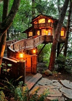 amazing-tree-houses-25-1.jpg