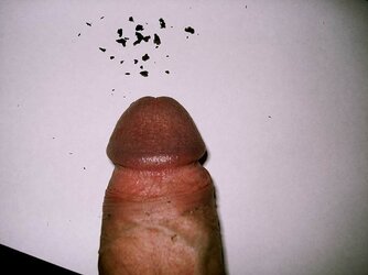 goop8.jpg