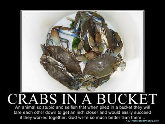crabs in a bucket poster.jpg