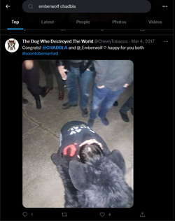 dylanchadbla01.png