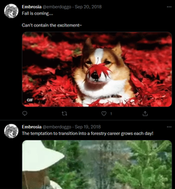 embrosiaseptember2018activity01.png