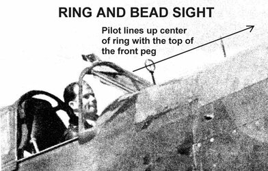 ringandbead.jpg