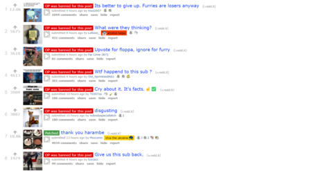Screenshot (3).png