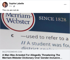 Screenshot 2022-04-25 at 18-20-34 Sophie Labelle.png