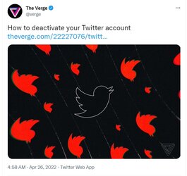 verge.jpg