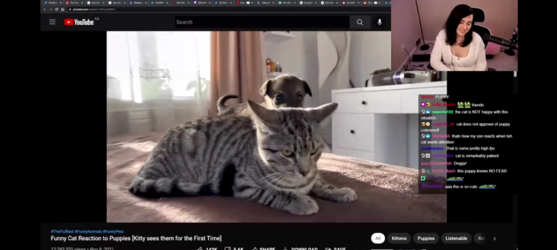 Screenshot from 2022-04-25 14-21-49.png