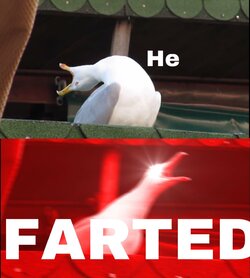Farted.jpg