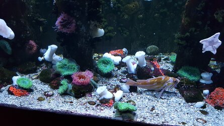 20170325_140435.jpg