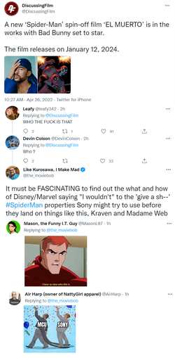 spider.png