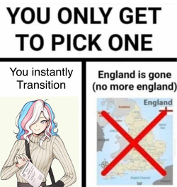 1650954408058.png