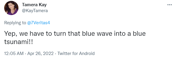1650970506538.png
