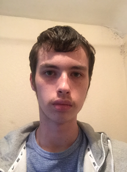 Untitled.png