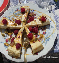 Cheesecake for One.jpg