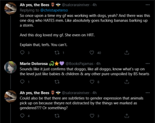 rape crisis and men 2.PNG