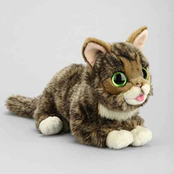 lil bub.png
