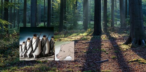 3.jpg 3.jpg
