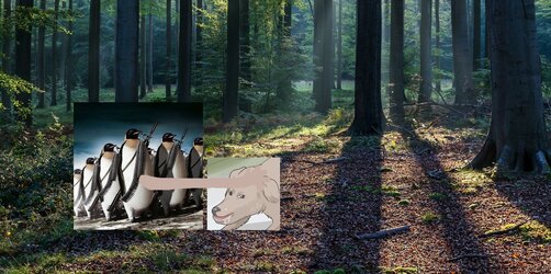 4.jpg 4.jpg