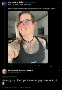 Screenshot 2022-04-27 at 10-51-53 Kathryn Gibes (Goat Arc) 🐐🏳️‍⚧️✨ on Twitter.png